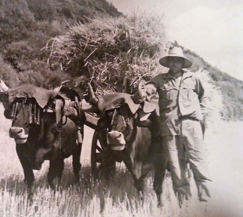 hombre llevando heno en el pueblo posada de Omaña en León