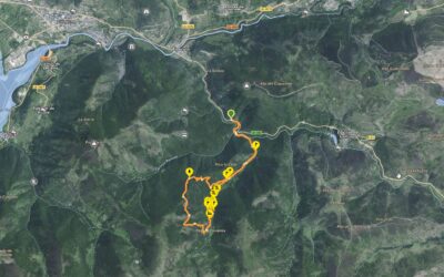 Ruta de los Tejos Milenarios